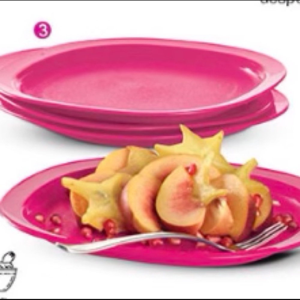 Tupperware  Microwave Reheatable Luncheon Plates  Set of 6